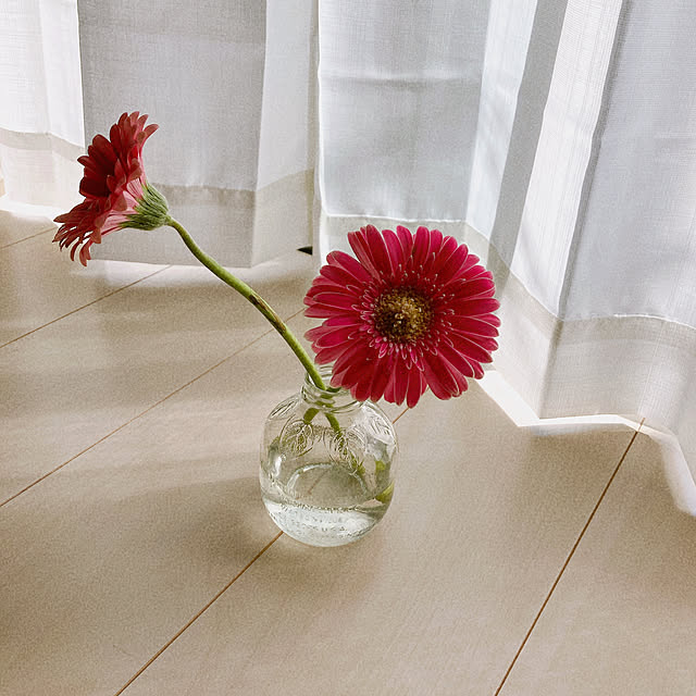 sunnyさんの部屋