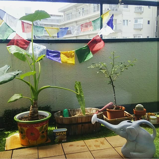 SEINO705さんの実例写真