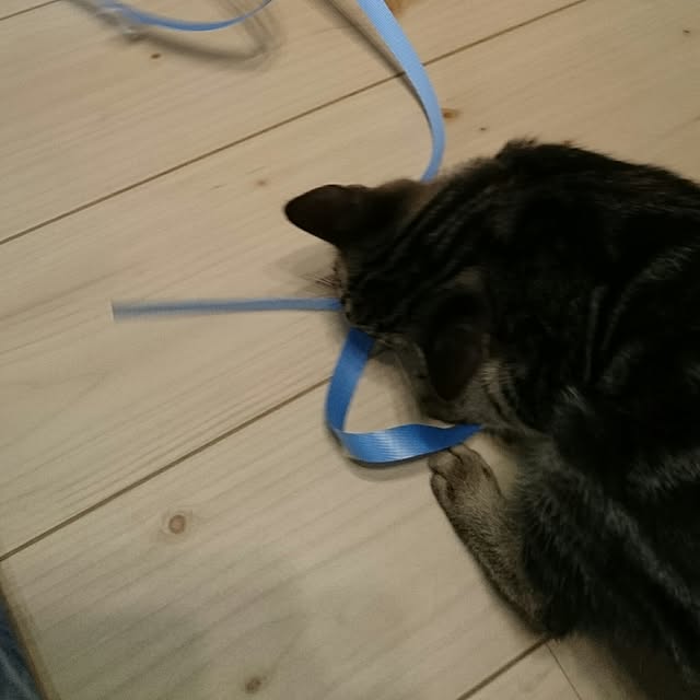 Tamaさんの実例写真