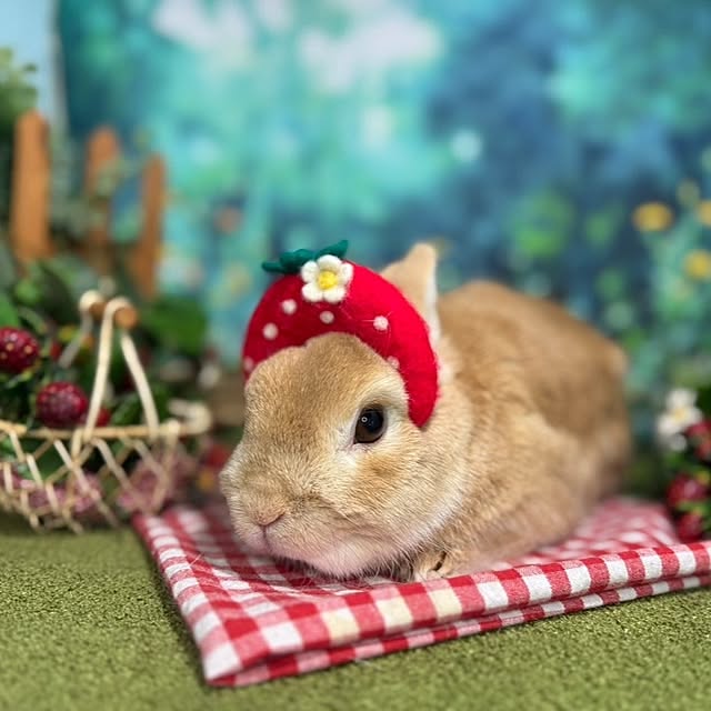 aiさんの部屋