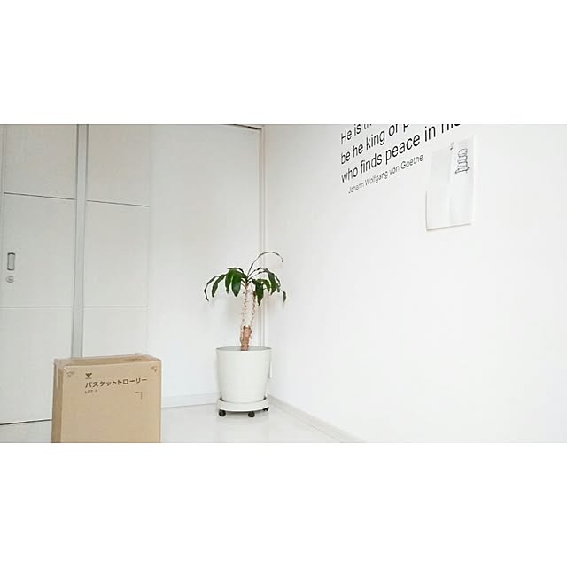 naoさんの実例写真
