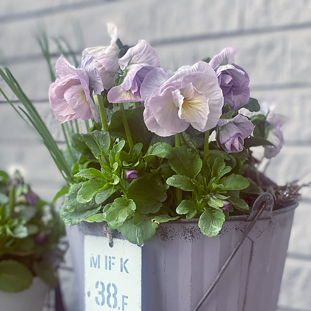 kuremaさんの実例写真