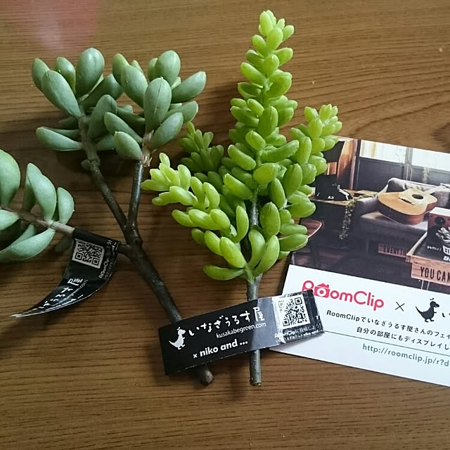 Makoさんの実例写真