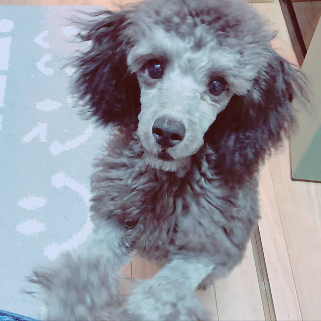 hideさんの実例写真