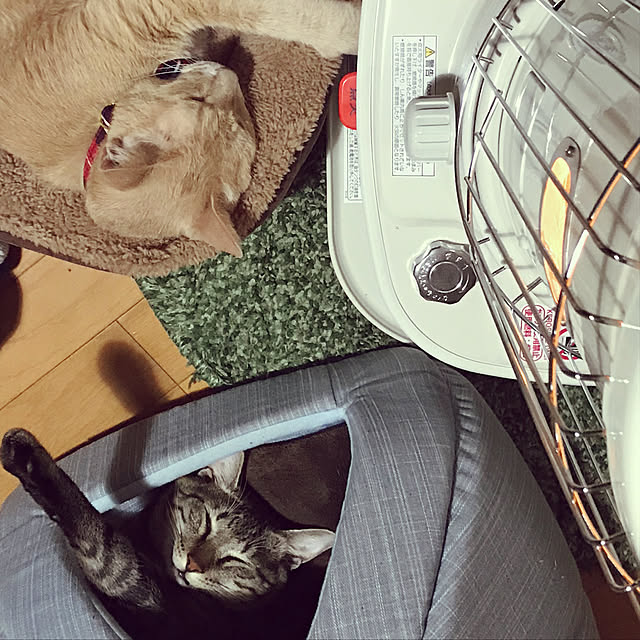 mikan161さんの実例写真