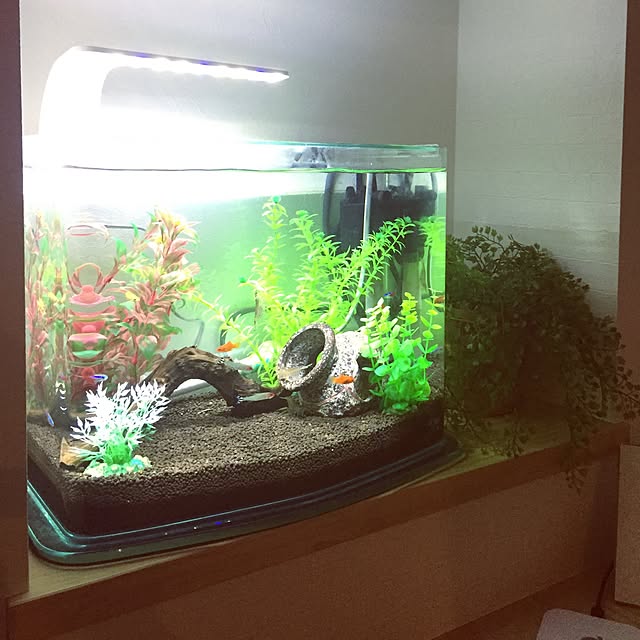 comoさんの実例写真