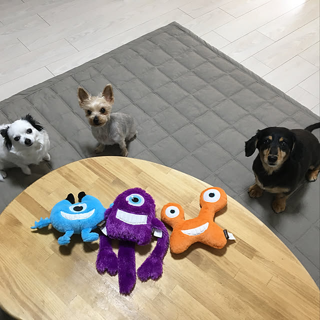 ohanaさんの実例写真
