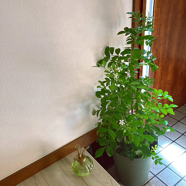 mommyさんの実例写真