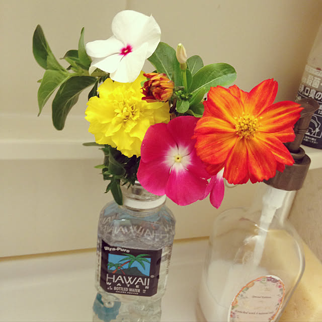 hisaeさんの実例写真