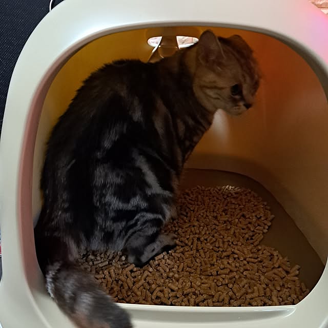 kumingさんの部屋