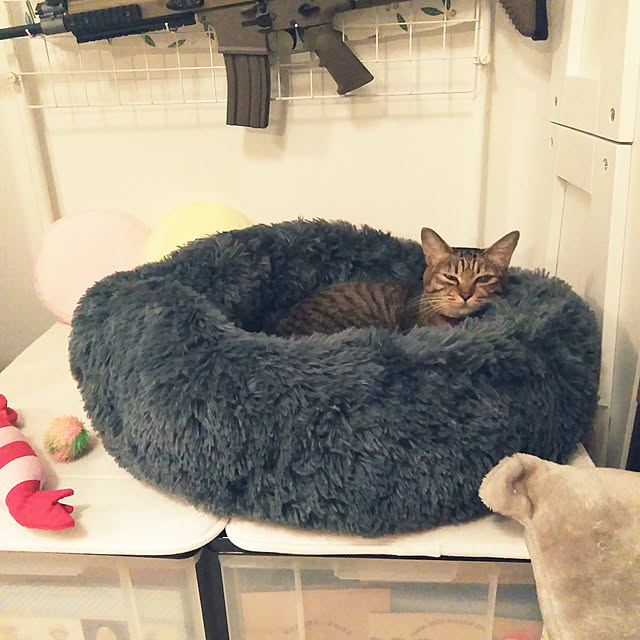 futukoさんの実例写真