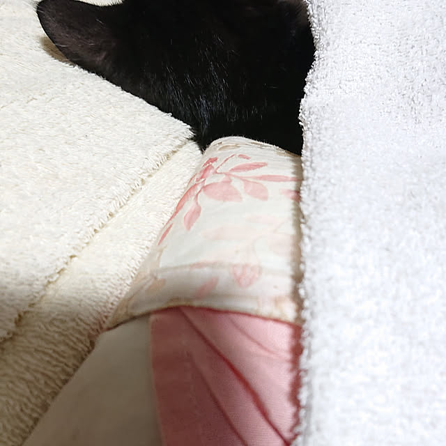 kumanopusan39さんの実例写真