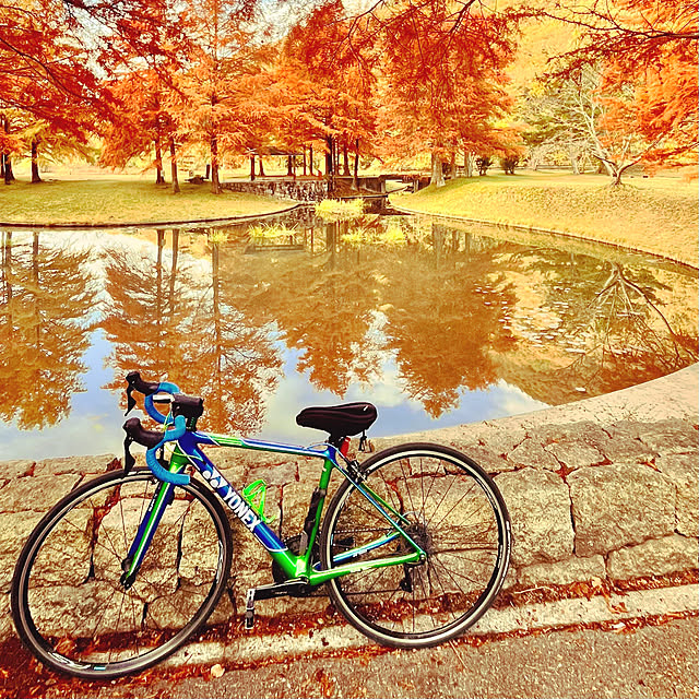 mikigumaさんの部屋