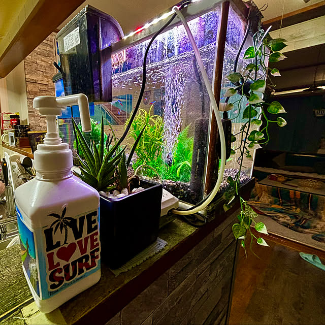 tututu0204さんの部屋