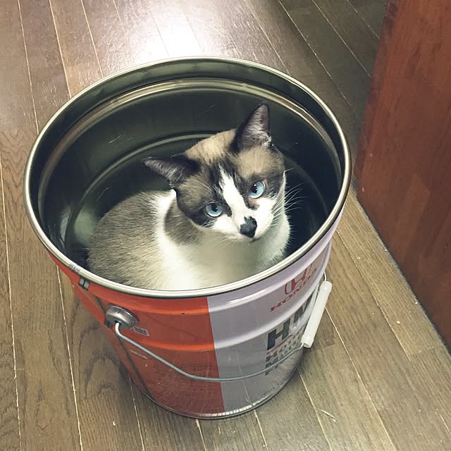vivienne.coco-keiさんの実例写真