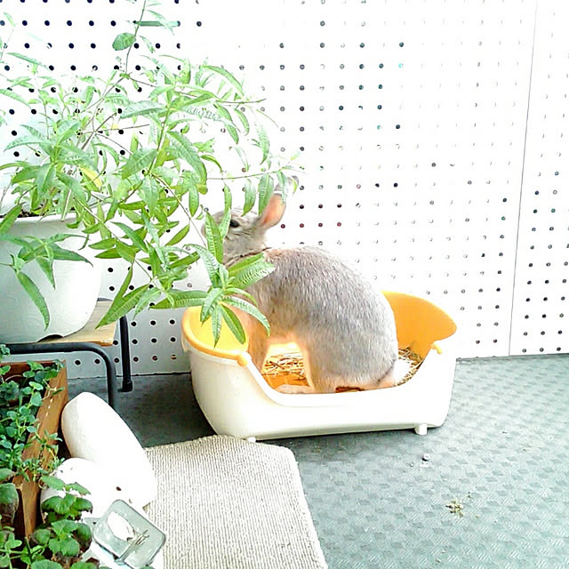 sachiko283さんの実例写真