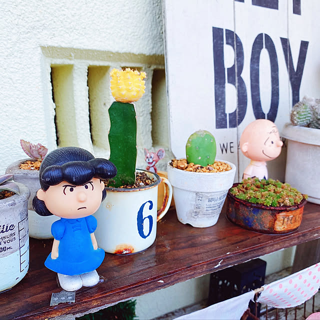 zu_kkyyさんの実例写真