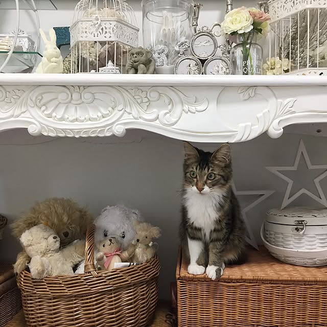 yuchiさんの実例写真