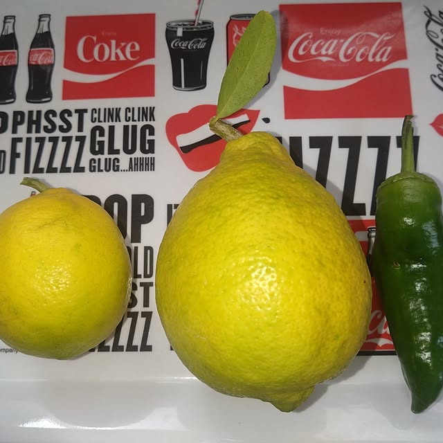 NAOKIさんの実例写真