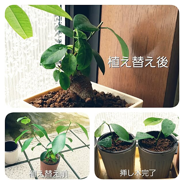 annさんの実例写真