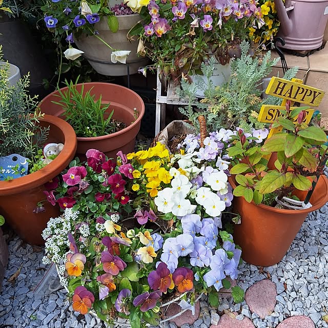 Blancheさんの部屋
