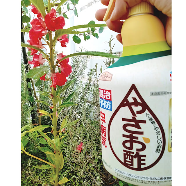 kodaminさんの実例写真