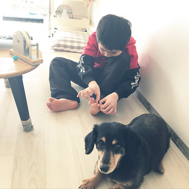 ohanaさんの実例写真