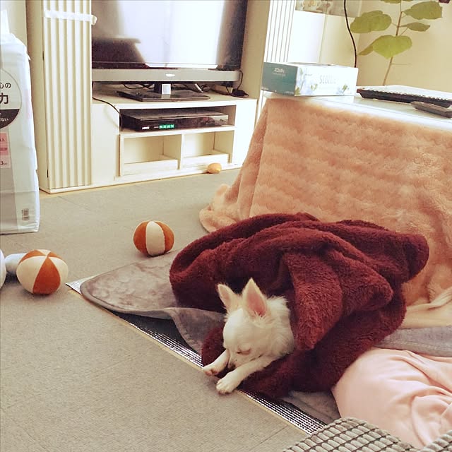 Bienvenueさんの実例写真