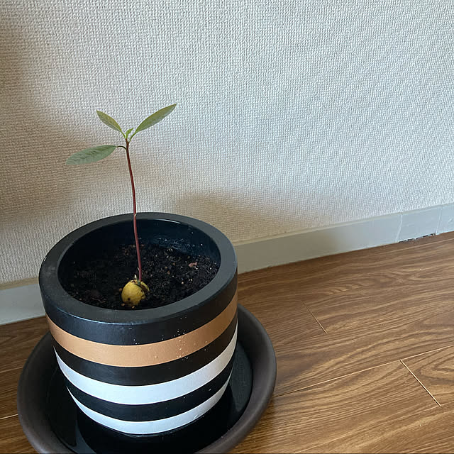 Mabuさんの実例写真