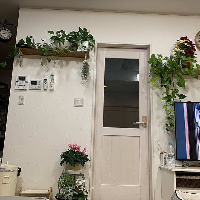 ナチュラル/DIY/観葉植物/リビングのインテリア実例 - 2020-01-20 21:11:03