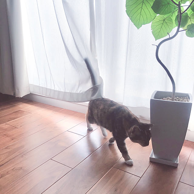 vino0414さんの実例写真