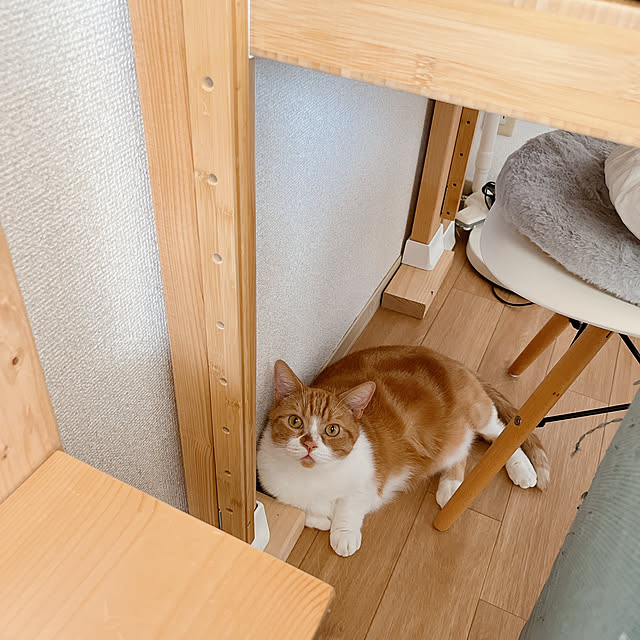 maruさんの実例写真