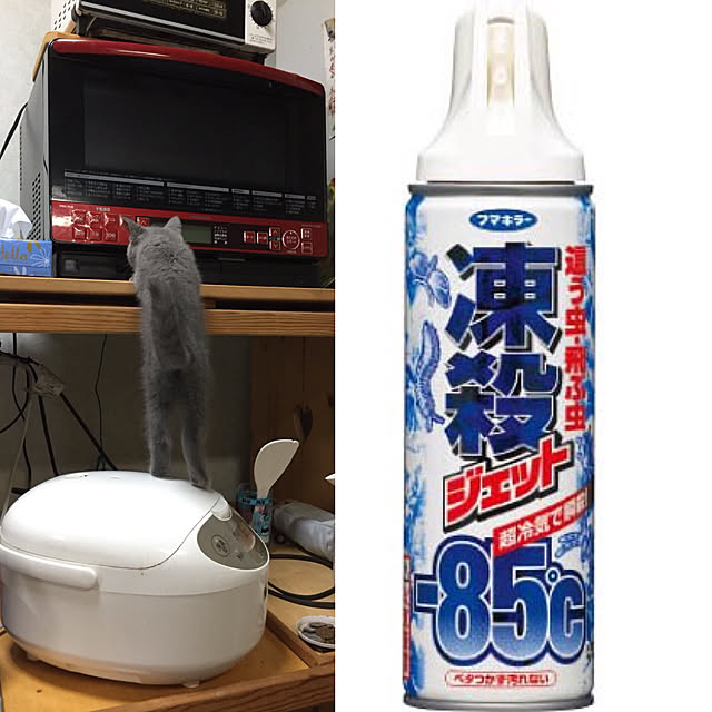 masaさんの実例写真