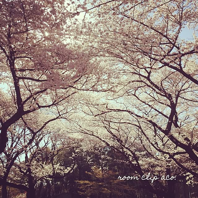 aki.さんの実例写真