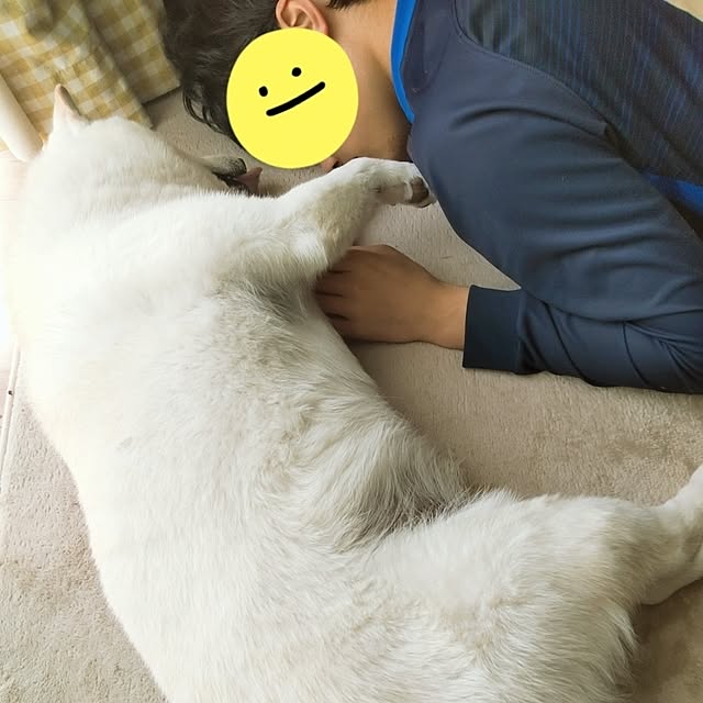 yukinkoさんの実例写真