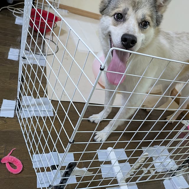 asaさんの部屋