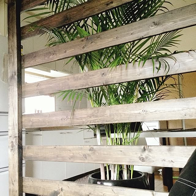 キッチン/DIY/植物のインテリア実例 - 2013-09-04 11:41:53