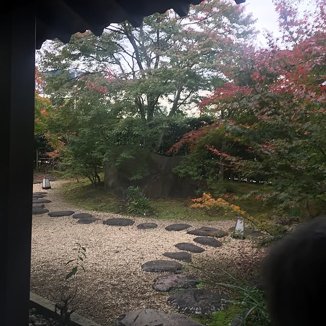 suzyさんの実例写真