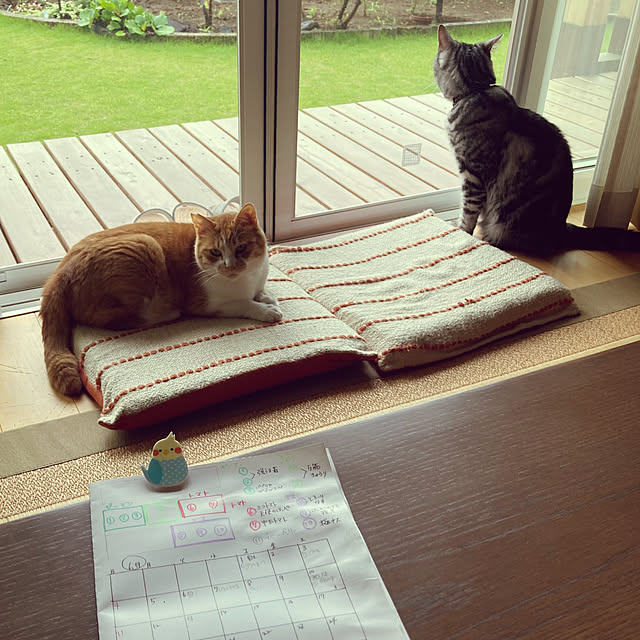 mkmkmoominさんの実例写真