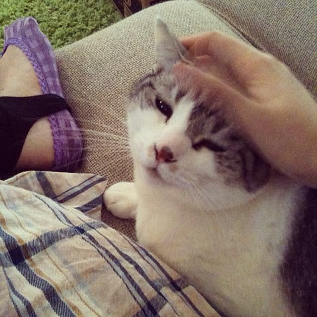 Tomo3さんの実例写真