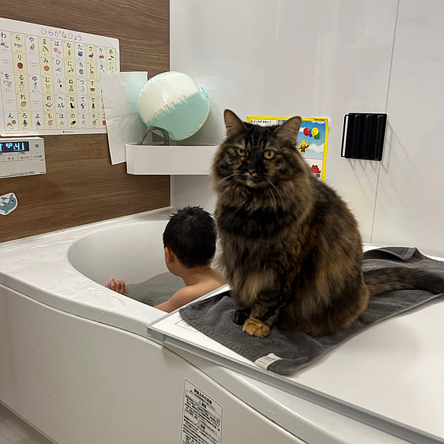 mikomaruさんの実例写真