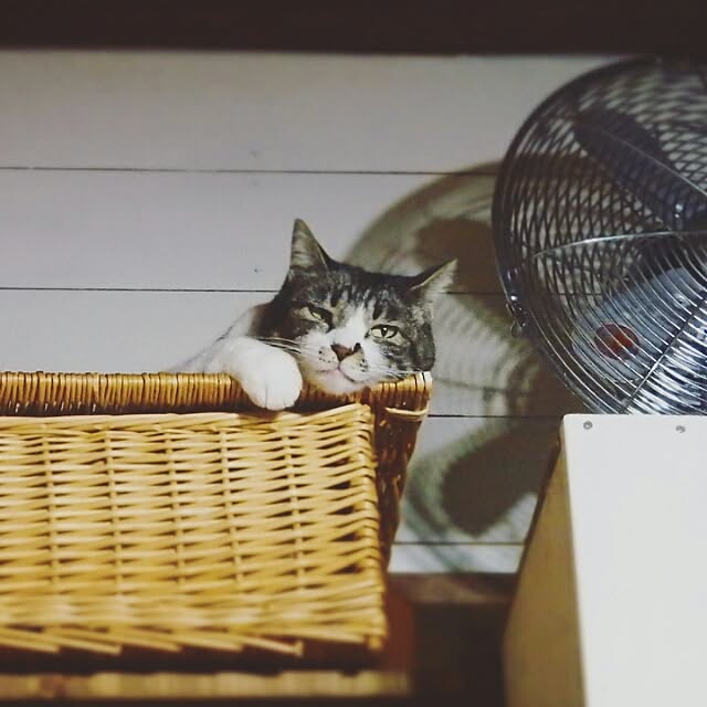 yukiさんの実例写真