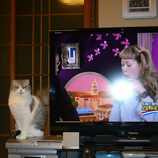 tosi66554さんの実例写真