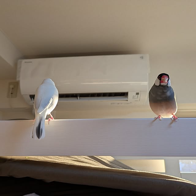 escargotさんの実例写真