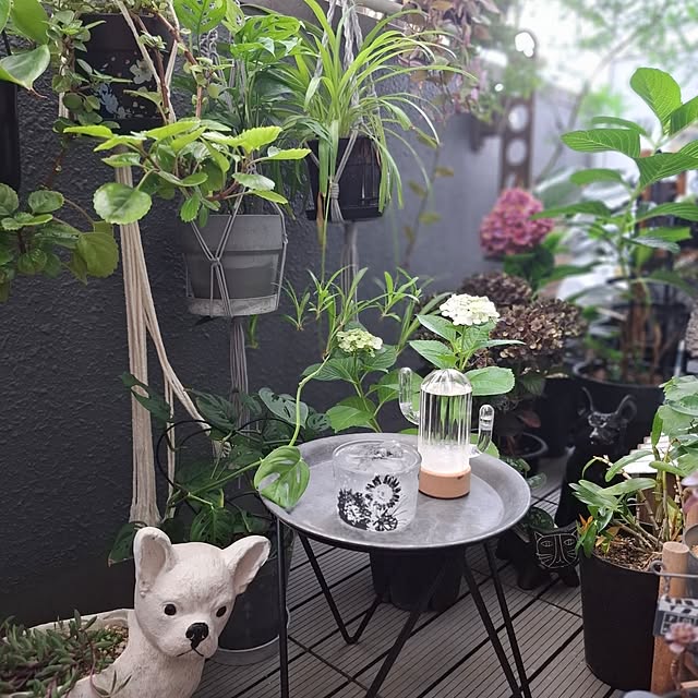 noaさんの部屋