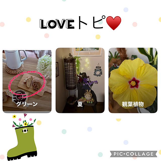 CoCo0617さんのお部屋の写真