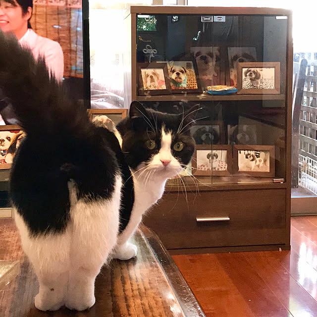 butachanさんの実例写真