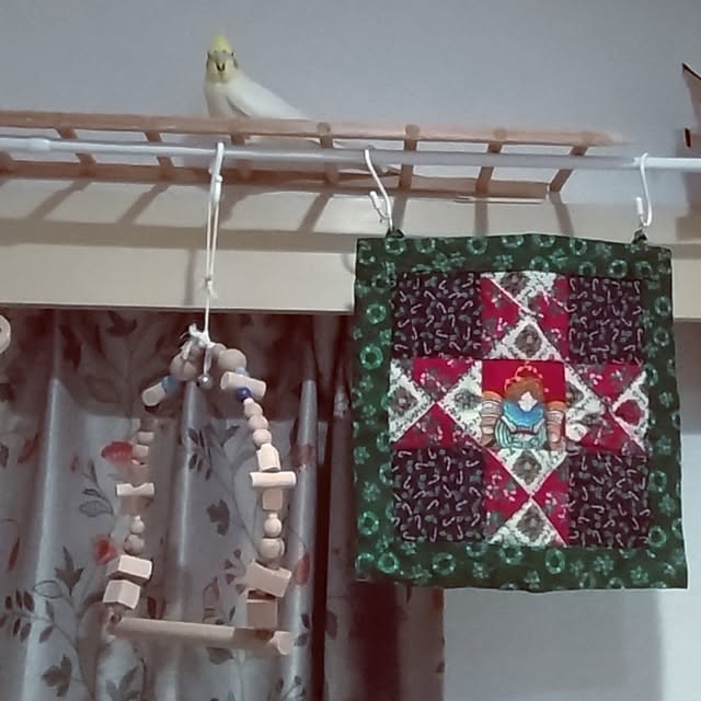 toratanさんの実例写真