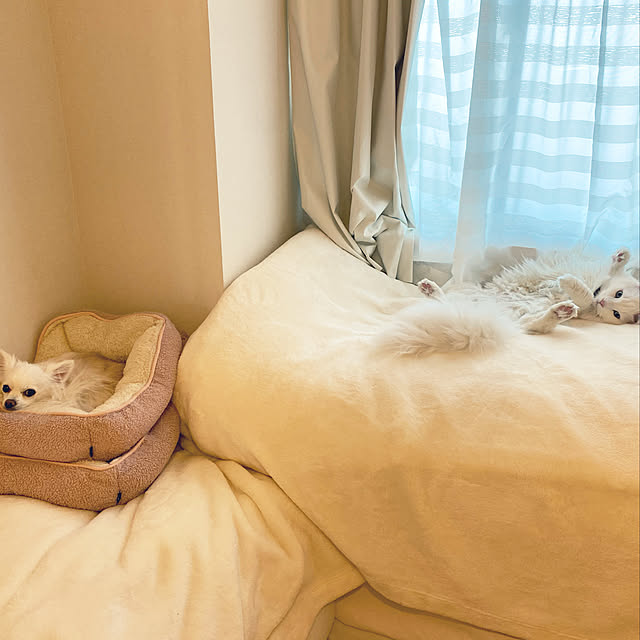 Lionaさんの実例写真