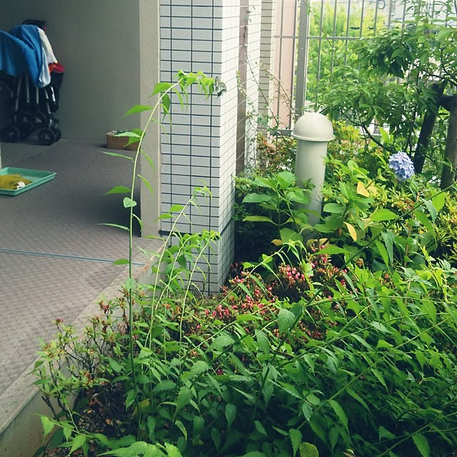 hiromimiさんの実例写真